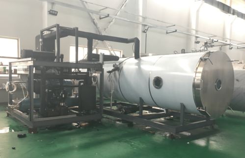 寵物食品凍干機在三文魚凍干加工中的應用與礦物加工的影響