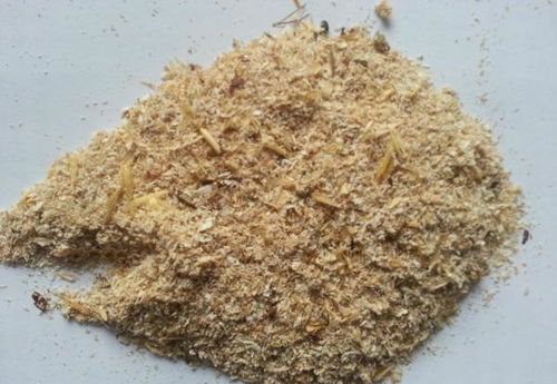 小麥麩皮與礦物加工 助力健康減肥的雙重優勢