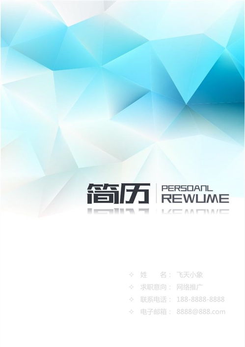 網絡技術服務簡歷模板